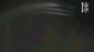 剝?nèi)ネ鈿さ墓S、切花刀的香菇、豌豆入沸水焯水。