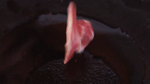 鍋中倒入橄欖油燒熱，放入淡火腿小火煸炒至打卷狀態(tài)。