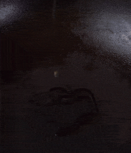 冷鍋熱油，下蒜片爆香，下香腸、玉米筍、蓮藕、西芹爆炒，期間加點水，翻炒1分鐘后加新鮮百合片，翻炒30秒。