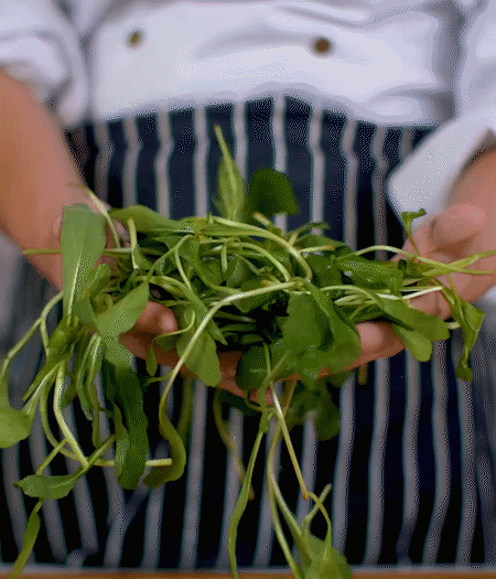 馬蘭頭焯水，切成細末。