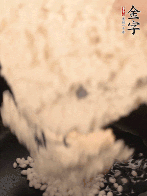 浸泡半天的糯米電飯鍋煮熟。