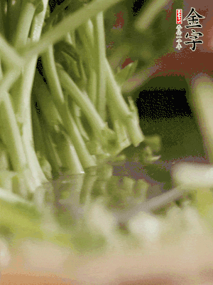 新鮮豌豆苗割下洗凈。